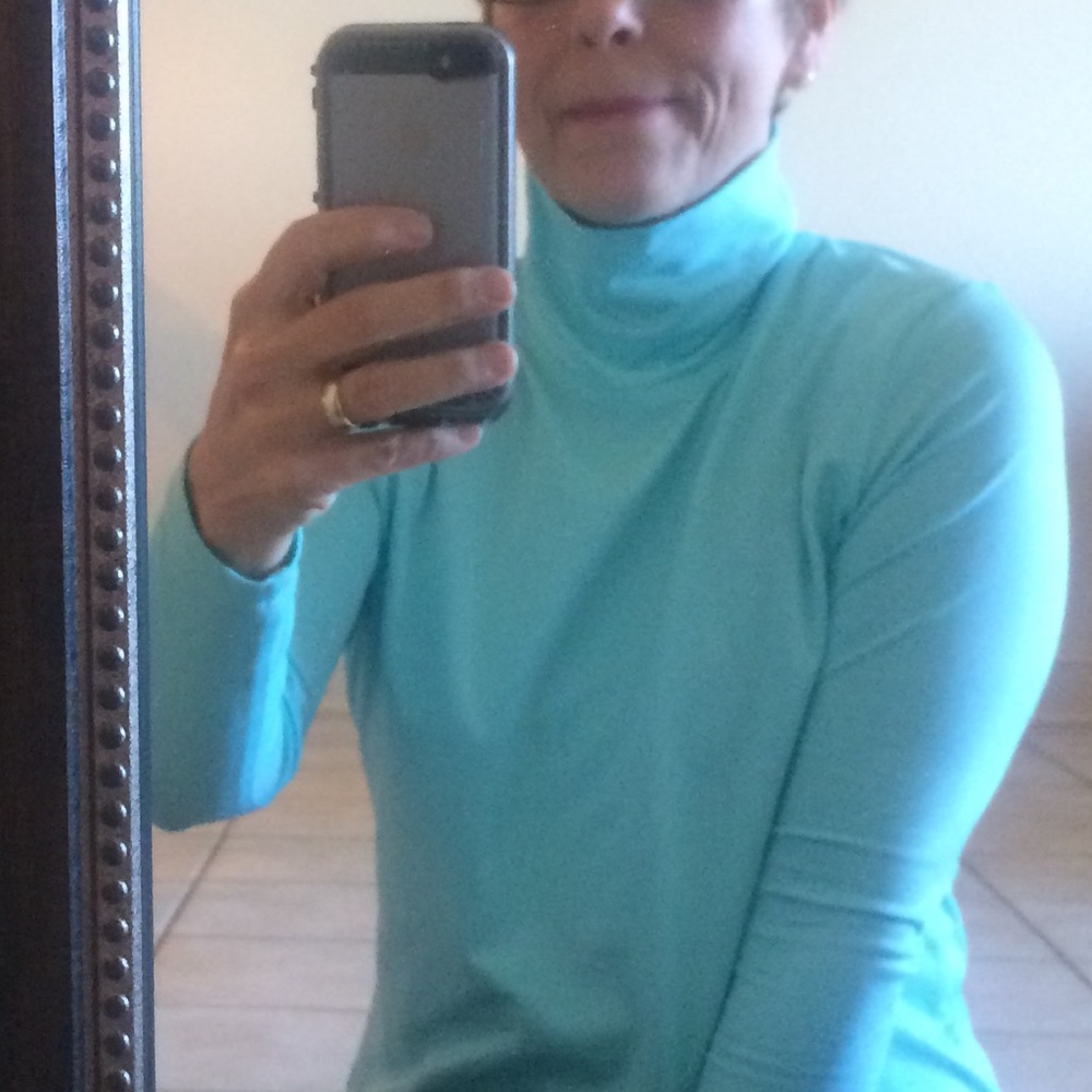 A’nue Ligne turtle neck